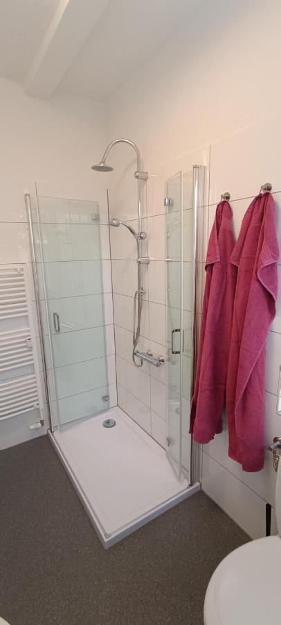 Harzquartier Apartment Friedrichsbrunn Ngoại thất bức ảnh